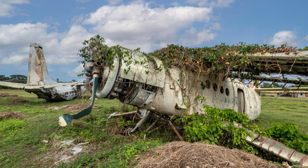 OLD PLANES IN FIELD