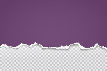 Piece of torn, ripped purple paper strip with soft shadow are on grey transparent background for text. Vector illustration