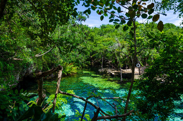 cenote in tropical rainforest - riviera maya, yucatan, mexico