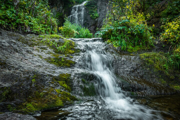 Forest stream in rainforest. Waterfall among mossy rocks and greenery. Mountain river on summer day. Nature landscape with  cascades of mountain creek among lush thickets in forest.