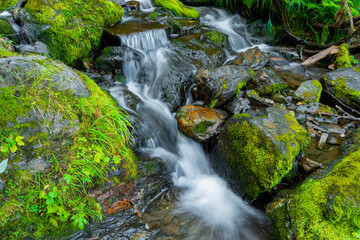 Fototapeta na wymiar Stormy stream among rocks and boulders in forest valley. Mountain river.