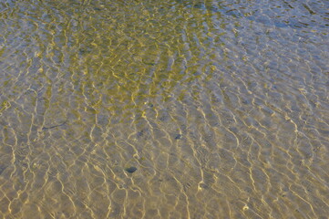 water texture