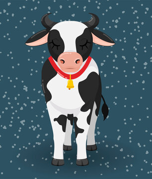 Domestic cow in black and white breed. Portrait of happy cheerful cow with bell. Vector illustration of 2021 year animal symbol in isolated for textile, greeting cards and calendars.