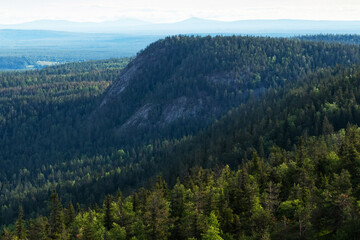 View of summery taiga forest with hills, mountains and slight mist shot from Valtavaara hill near Kuusamo, Finnish nature, Northern Europe.	