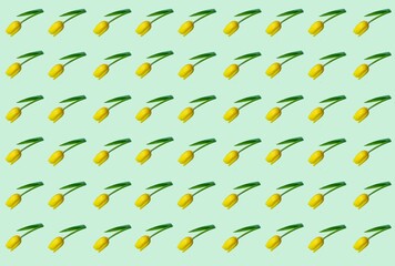 Floral pattern of yellow tulips isolated on a light green background.