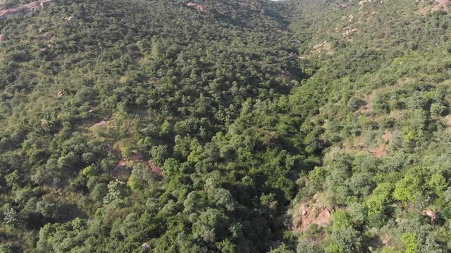 Epic drone uphill flyover beautiful forest in indian mountains against blue sky in background.Tiruvannamalai,India.