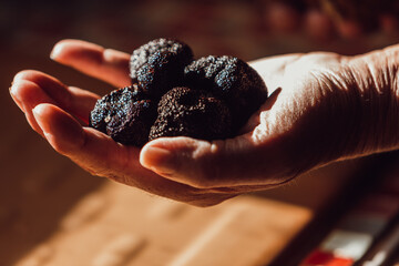 Truffes