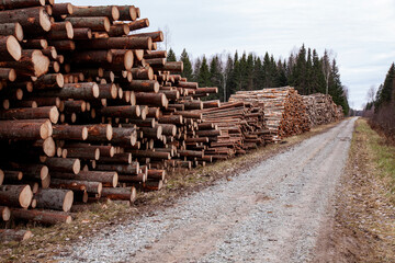 Freshly cut and piled spruce lumber as a raw material resource for wood industry in Estonia.	