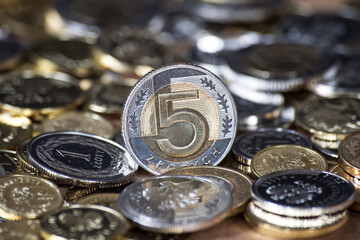 Polish money, coins. Polish zloty