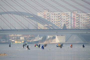 Wędkarze na zamarzniętej Martwej Wiśle w Gdańsku © joannak24
