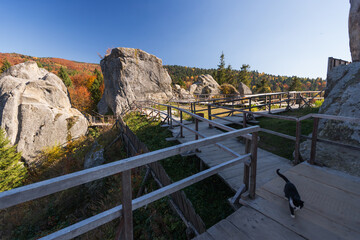 Trail in Tustan, rocks and fortress