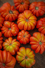 Red ribbed tomatoes on a wooden background. American or Florentine variety Nina. Food on the table top view. Autumn harvest of vegetables similar to flowers and pumpkins.Ribby tomato.