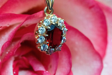 Rose with gold accessory on blue background