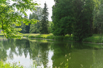 Fototapeta na wymiar Landscape green trees, reservoir. Summer shooting
