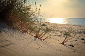 Sandy Baltic Sea beach, Wisełka, Poland