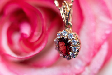 Rose with gold accessory on blue background