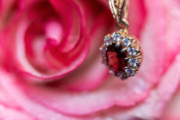 Rose with gold accessory on blue background