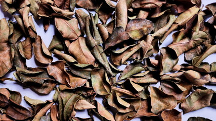 picture of dried kaffir leaves 