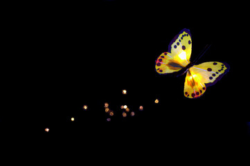 butterfly on black leaving a light trail