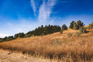 Obraz premium Autumn meadows and blue sky. The nature of Moldova. Landscapes of Moldova. Artistic processing with copy space