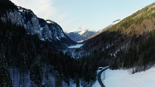 Alps Mountains Morzine France Trees Drone between trees Scene high altitude creative drone shot
