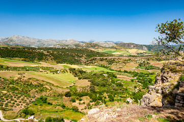 Fototapeta na wymiar Rural area with olive trees plantations as seen from hills of town of Ronda in Andalusia, Spain