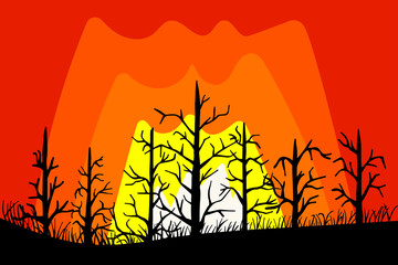 charred trees, grass, forest fire. JPG