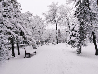  City Park in winter. The trees and everything around are covered with white fluffy snow.