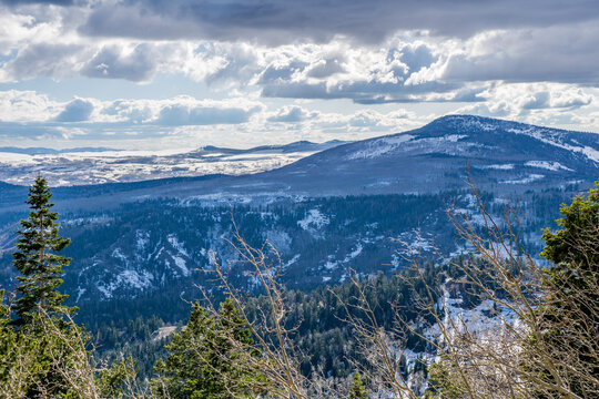 Dixie National Forest In Utah