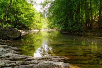 Obraz premium Calm and crystal clear water river in green forest with daylight reflections and rocks in the foreground. 