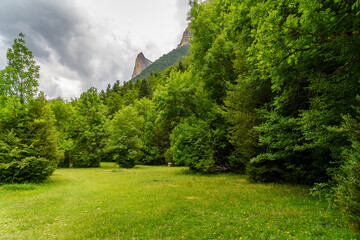 Green landscape with trees, grass and dark clouds in cloudy summer day in Ordesa Pirineos
