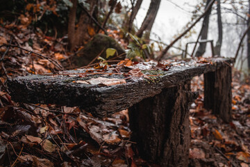Park bench in autumn