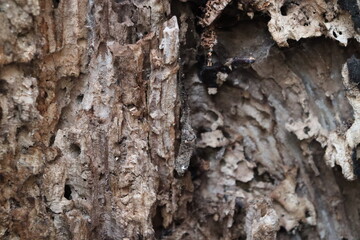 texture