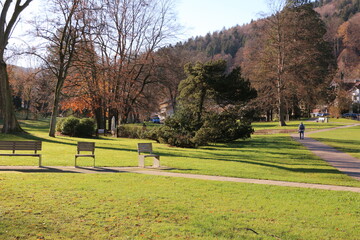Ruhe und Idylle im Herbst im Kurpark von Bad Herenalb im Schwarzwald