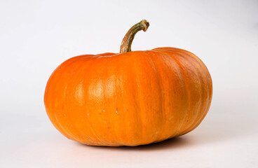 Big pumpkin on white background. Fresh and orange.