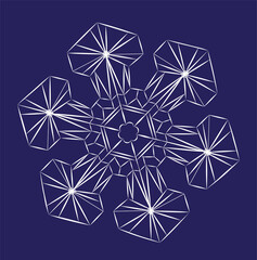 snowflake close-up. Christmas symbol, Vector