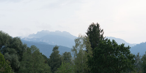 Green landscape with trees at the Chiemsee, view to the mountains Bavarian Alps, cloudy sky with fog before sunset