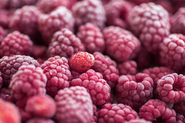 Ripe frozen raspberries close-up macro photography, selective focus, fruit background