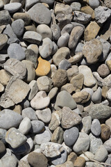 One orange pebble stone in the middle of many white and gray pebbles - background