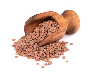Brown lentils in wooden scoop, isolated on white background. Top view.