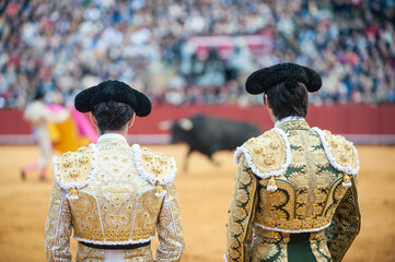 Corridas de toros en la plaza de toros de la Real Maestranza de Sevilla con toreros, banderilleros...
