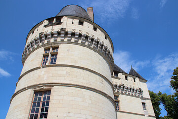 Fototapeta na wymiar medieval and renaissance castle (islette) in azay-le-rideau in france