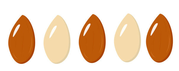 almonds in a cartoon style with patches of peeled almonds in the style of flat.vector illustration.set of almonds on an insulated background