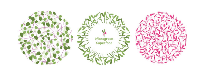 Cartoon eco logo decoration elements collection with mustard sunflower arugula orach herb leaf, green superfood in circle graphic design isolated on white.