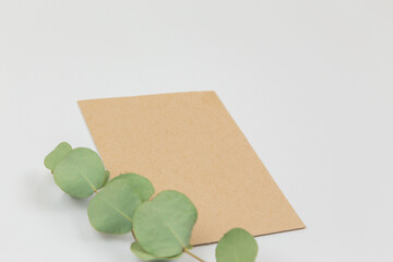 Craft card with a branch of eucalyptus on a white background. Wedding invitations. Greeting card....
