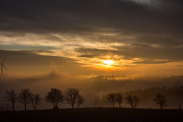 Fototapeta premium Sonnenaufgang im Herbstnebel