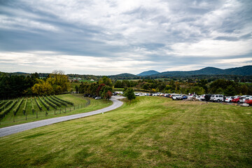 Fototapeta na wymiar Landscape shots from the top of a Vineyard in Northern Va