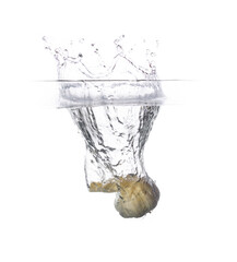 Water Splash Photography: a garlic, falling in water creating a large splash, on a white background