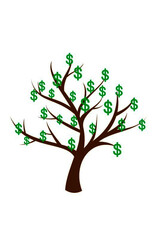 Obraz premium tree with leaves