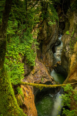 Deep canyon or gorge of Mostnica river, Bohinj, Triglav National Park, Slovenia